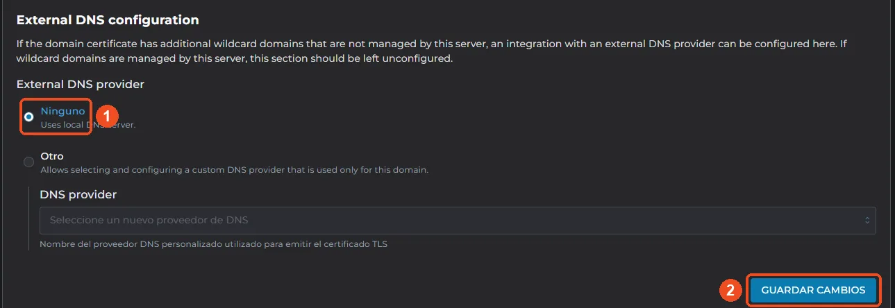 External DNS configuration con la opción Ninguno y el botón Guardar cambios marcados