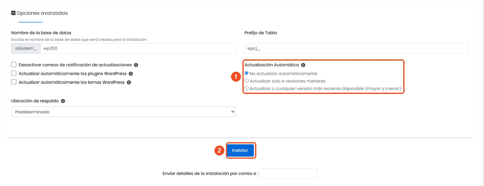 Opciones avanzadas con Actualización Automática y el botón Instalar marcados